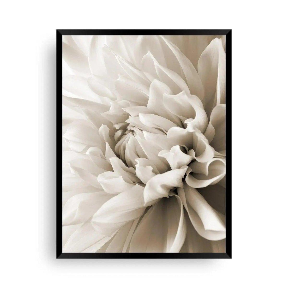 Moderne Wandbilder - Ferayblume | Poster xxl - Wandschmuck-Shop.de