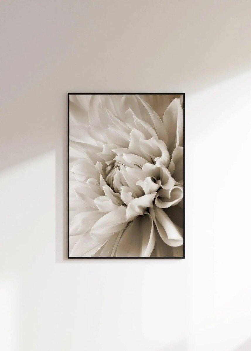 Rosenposter beige, Pfingstrose, Narzissenposter, Blumenposter beige, Rosenposter beige, wanddeko floral, blumen poster - Wandschmuck-Shop.de