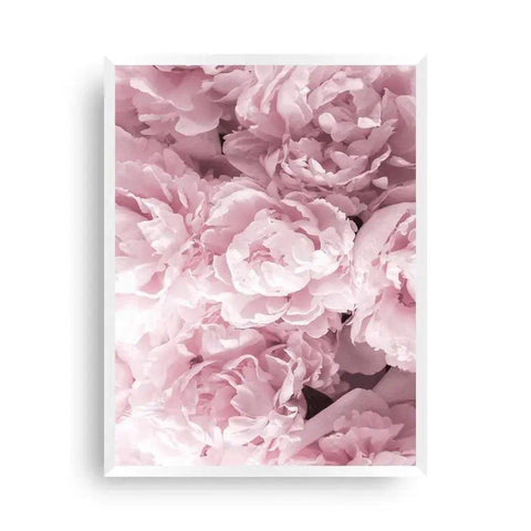 Wandposter Pfingstrose | Pink Poster - Wandschmuck-Shop.de